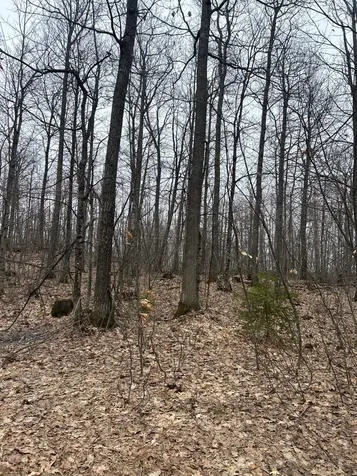153 Acre Other Negaunee MI 49866