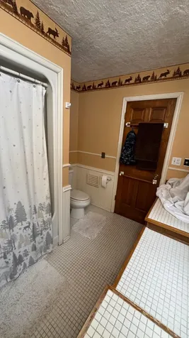 1091 Amber Lake Lane N Lac Du Flambeau WI 54538