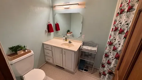 1091 Amber Lake Lane N Lac Du Flambeau WI 54538