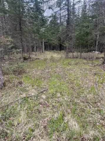 W9106 Popple Hill Road Phillips WI 54555