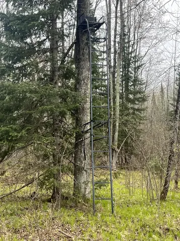 W9106 Popple Hill Road Phillips WI 54555
