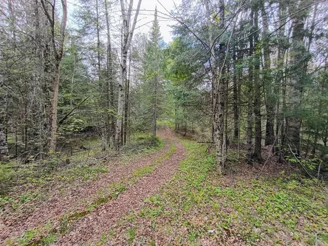 N14987 Old 13 Road Park Falls WI 54552