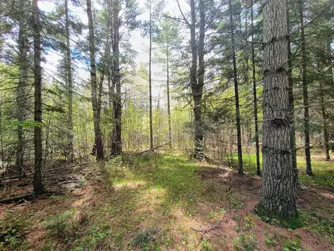 N14987 Old 13 Road Park Falls WI 54552