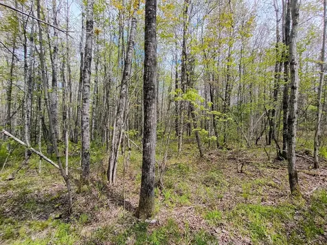 N14987 Old 13 Road Park Falls WI 54552