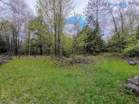 N14987 Old 13 Road Park Falls WI 54552