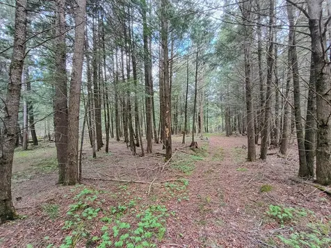 N14987 Old 13 Road Park Falls WI 54552