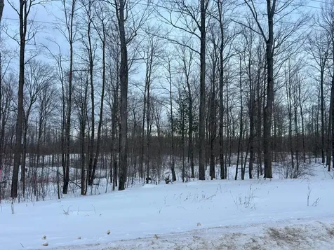 Land Cth G Pelican Lake WI 54463