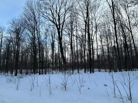 Land Cth G Pelican Lake WI 54463