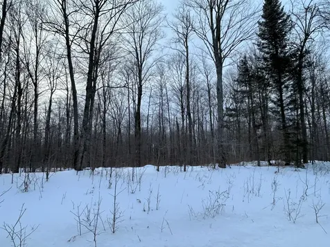 Land Cth G Pelican Lake WI 54463