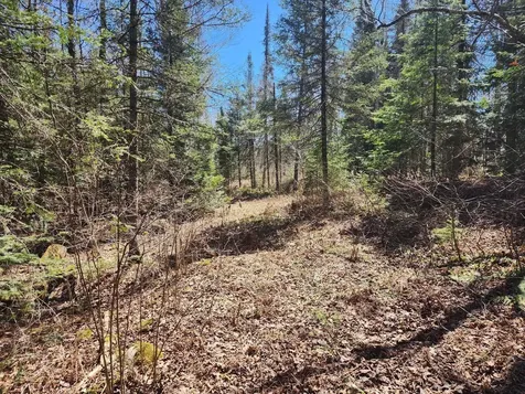 4 AC on Bass Lake Road Watersmeet MI 49969