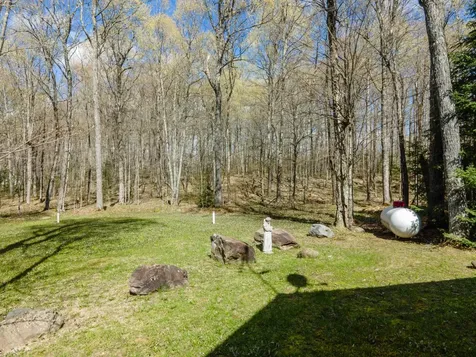 163 Homan Lake Road Iron River MI 49935