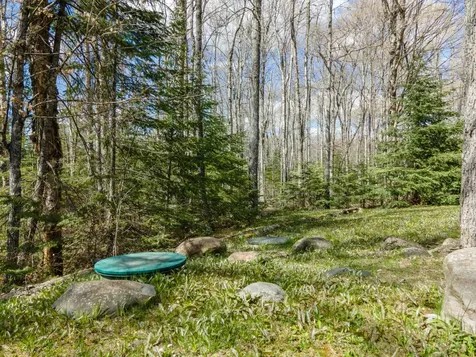 163 Homan Lake Road Iron River MI 49935