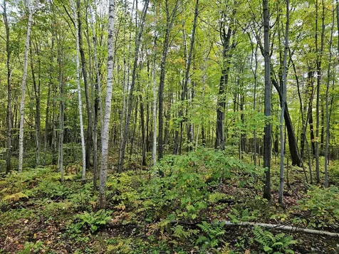 8654 American Eagle Court Lake Tomahawk WI 54539