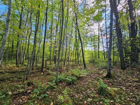 8654 American Eagle Court Lake Tomahawk WI 54539