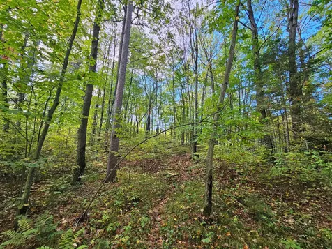 8654 American Eagle Court Lake Tomahawk WI 54539