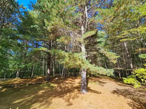 8654 American Eagle Court Lake Tomahawk WI 54539