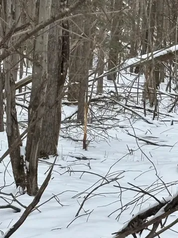 On Cth G Gleason WI 54435