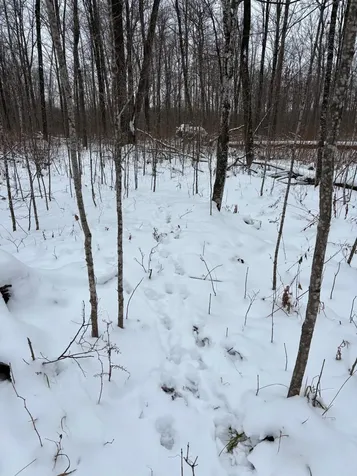 On Cth G Gleason WI 54435