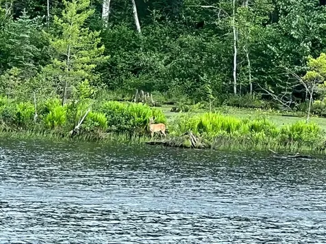 W9694 Highway 70 Park Falls WI 54552