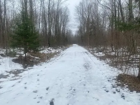 Near Spring Brook Avenue Merrill WI 54452