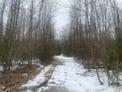 Near Spring Brook Avenue Merrill WI 54452