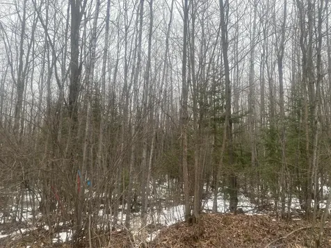Near Spring Brook Avenue Merrill WI 54452