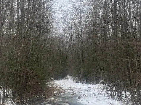 Near Spring Brook Avenue Merrill WI 54452