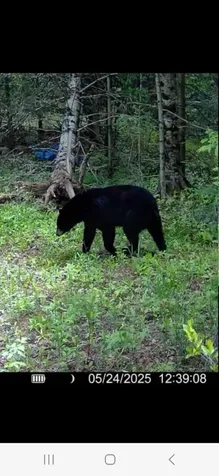 N3547 Cth D Brantwood WI 54513
