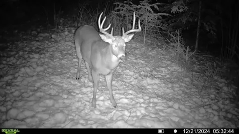 N3547 Cth D Brantwood WI 54513