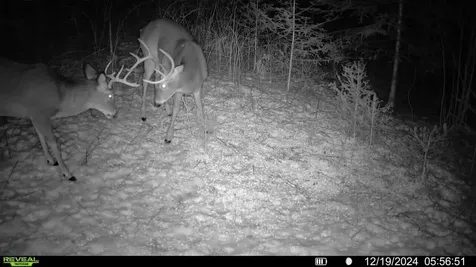 N3547 Cth D Brantwood WI 54513