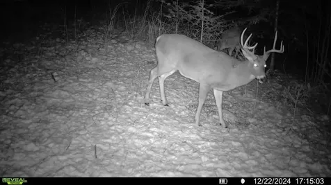 N3547 Cth D Brantwood WI 54513