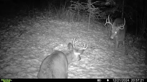 N3547 Cth D Brantwood WI 54513