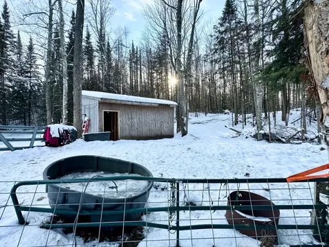 4221 Cth Q Pelican Lake WI 54463