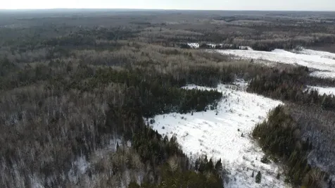 4221 Cth Q Pelican Lake WI 54463