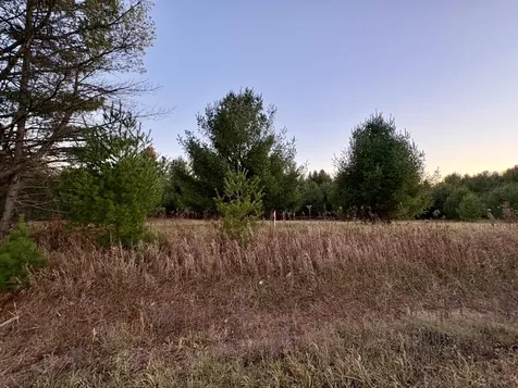 Lot 7 Lukes Heights Road Ogema WI 54459