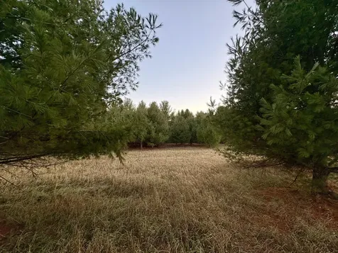 Lot 7 Lukes Heights Road Ogema WI 54459