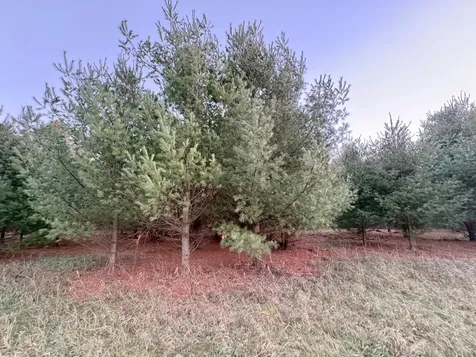 Lot 7 Lukes Heights Road Ogema WI 54459