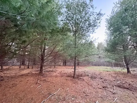 Lot 7 Lukes Heights Road Ogema WI 54459