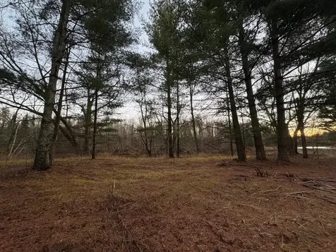 Lot 9 Lukes Heights Road Ogema WI 54459