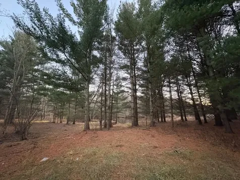 Lot 9 Lukes Heights Road Ogema WI 54459