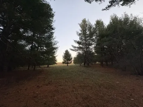 Lot 9 Lukes Heights Road Ogema WI 54459