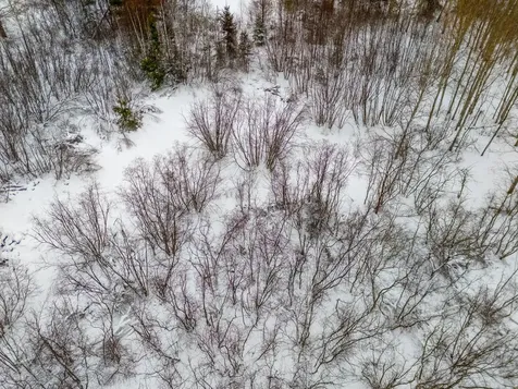 On Scovia Avenue Ontonagon MI 49953