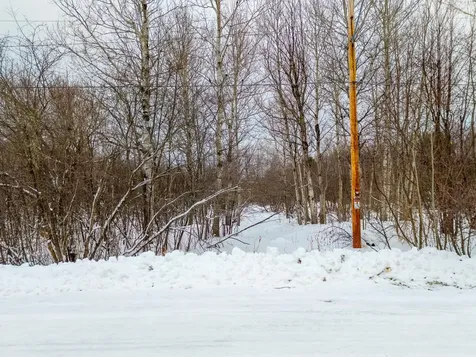 ON Scovia Avenue Ontonagon MI 49953