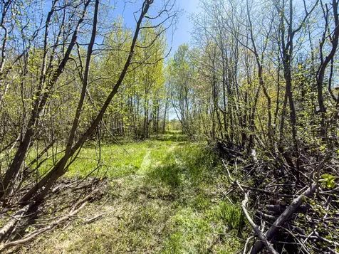 On Scovia Avenue Ontonagon MI 49953