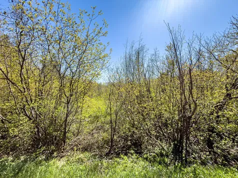 On Scovia Avenue Ontonagon MI 49953