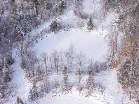 5971 Clearview Court Hazelhurst WI 54531