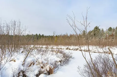 5971 Clearview Court Hazelhurst WI 54531