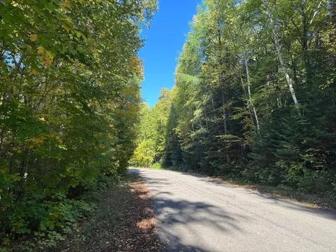 Lot 33 Nicolet Shores Lane Phelps WI 54554