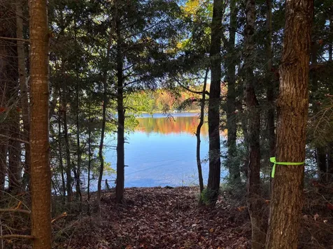 Lot 33 Nicolet Shores Lane Phelps WI 54554
