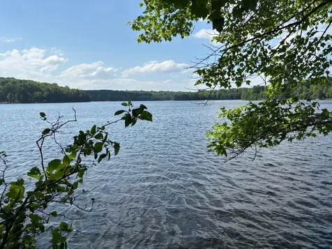 Lot 33 Nicolet Shores Lane Phelps WI 54554